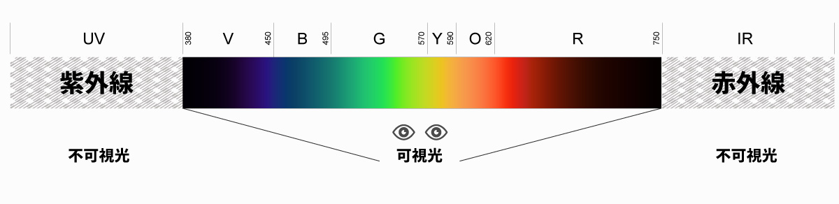人間の目の視覚範囲、可視光線と不可視光線