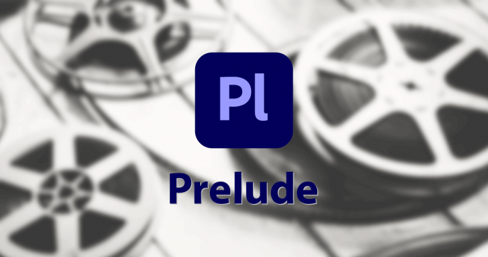 Adobe Prelude CCって何ができるの？特徴や便利な使い方を解説