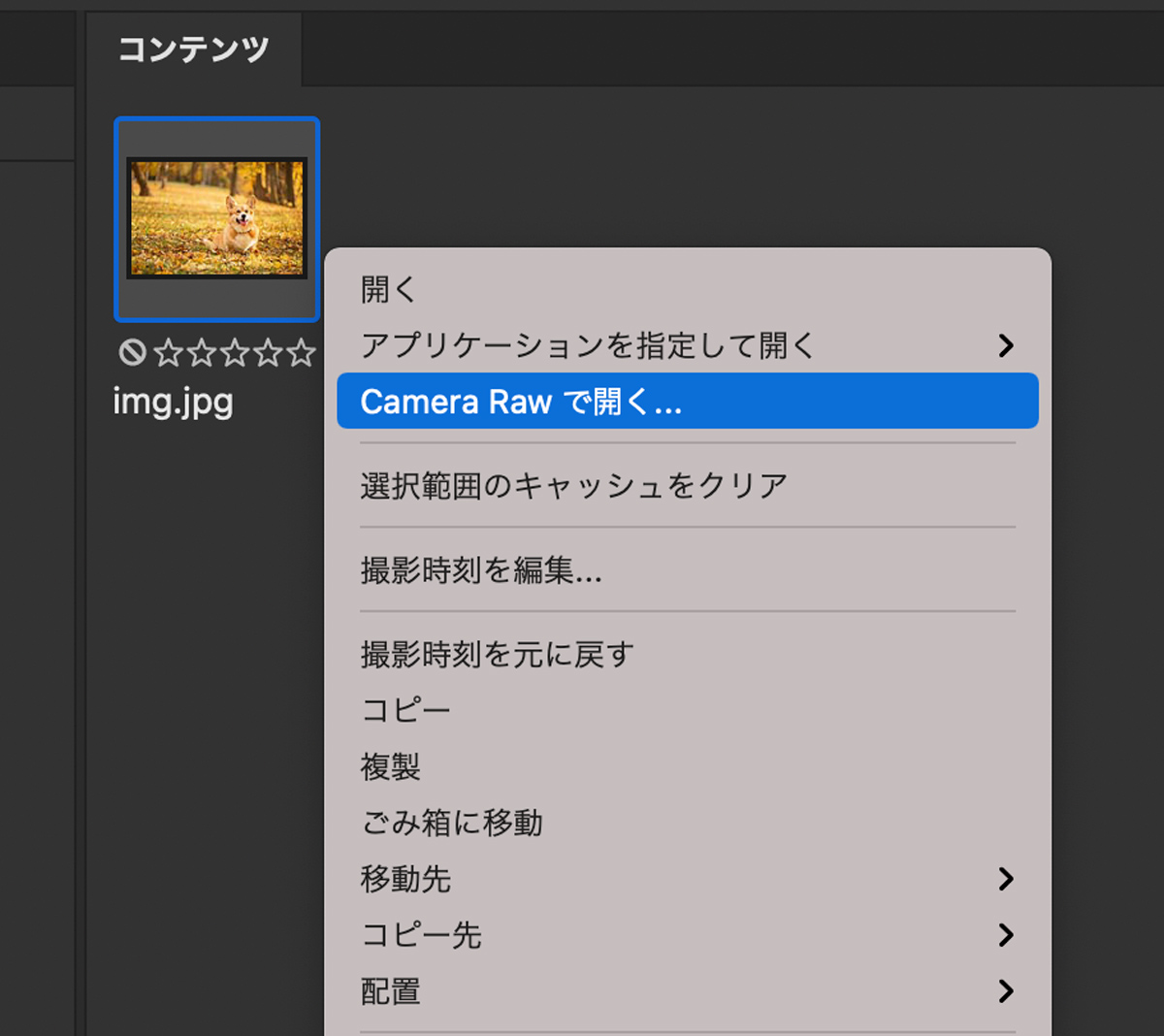 ファイルを右クリックしてCamera Rawで開く