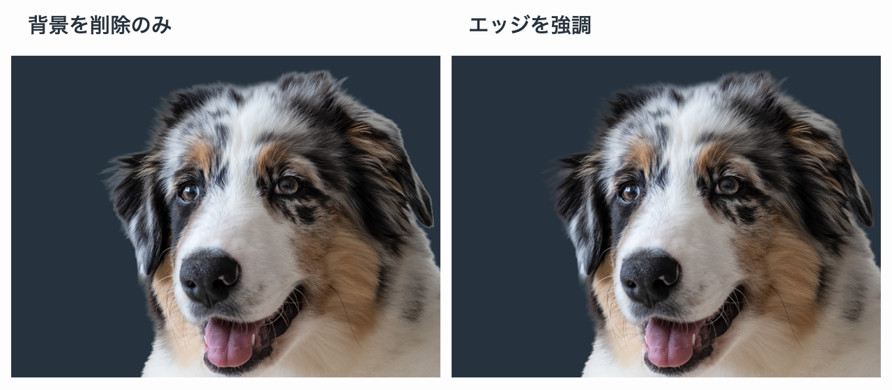 白黒の子犬の頭と耳周囲の毛を同じ倍率で比較。左は背景を削除のみ、右はエッジを強調後