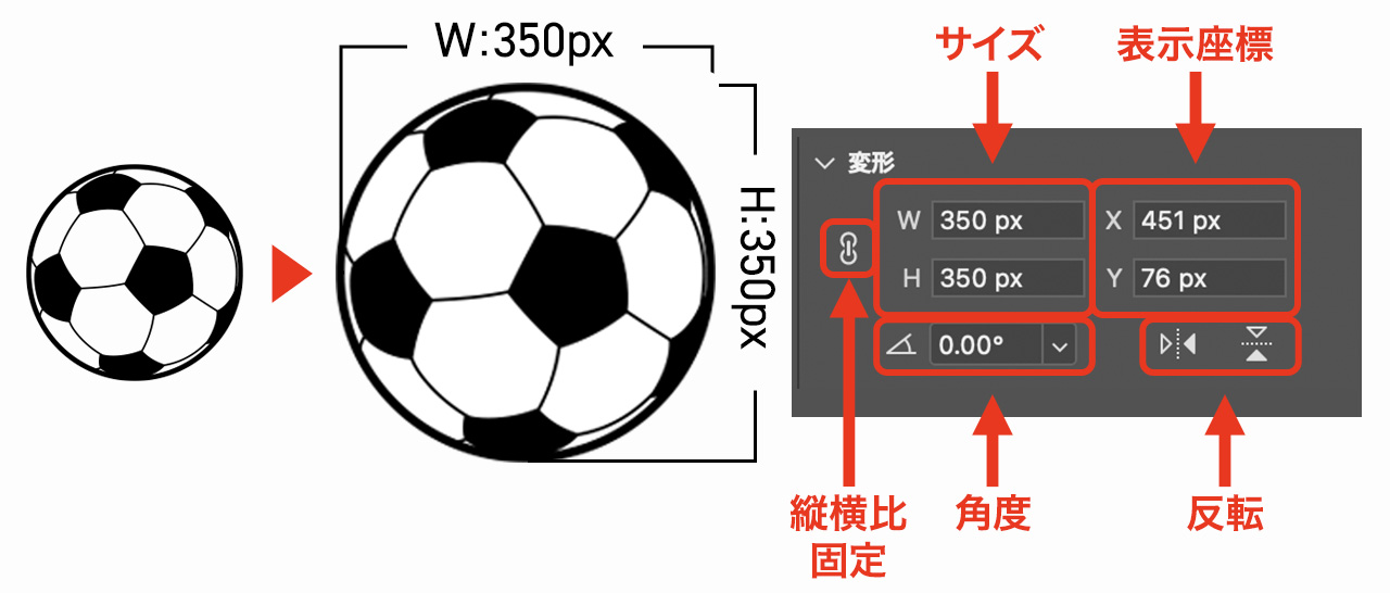 数値入力による変形