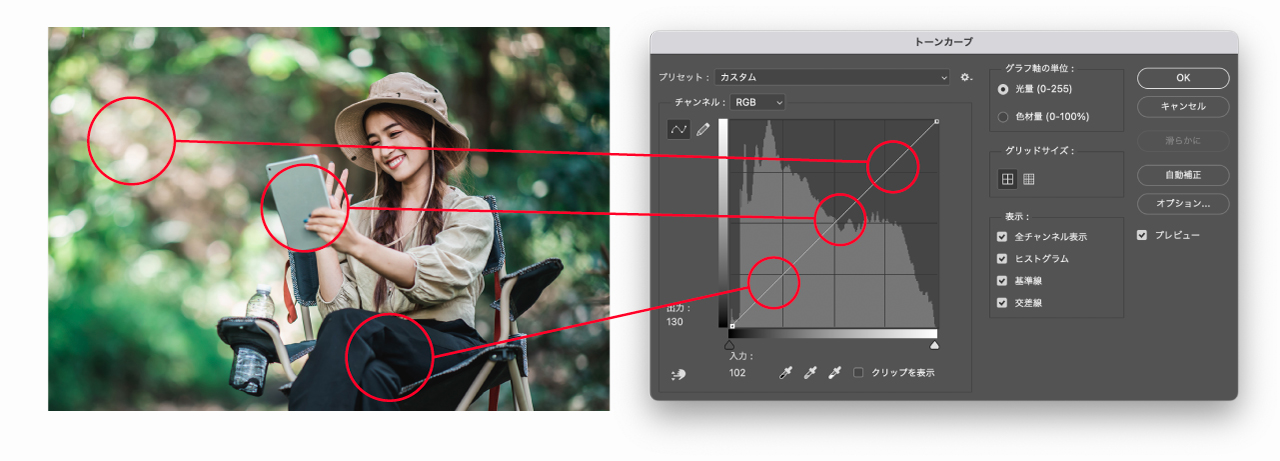 ヒストグラムと写真の対応箇所図