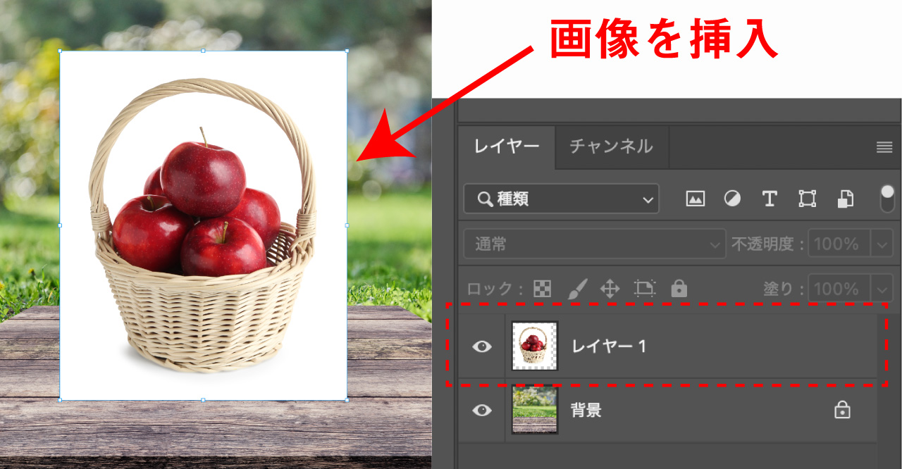 画像の挿入