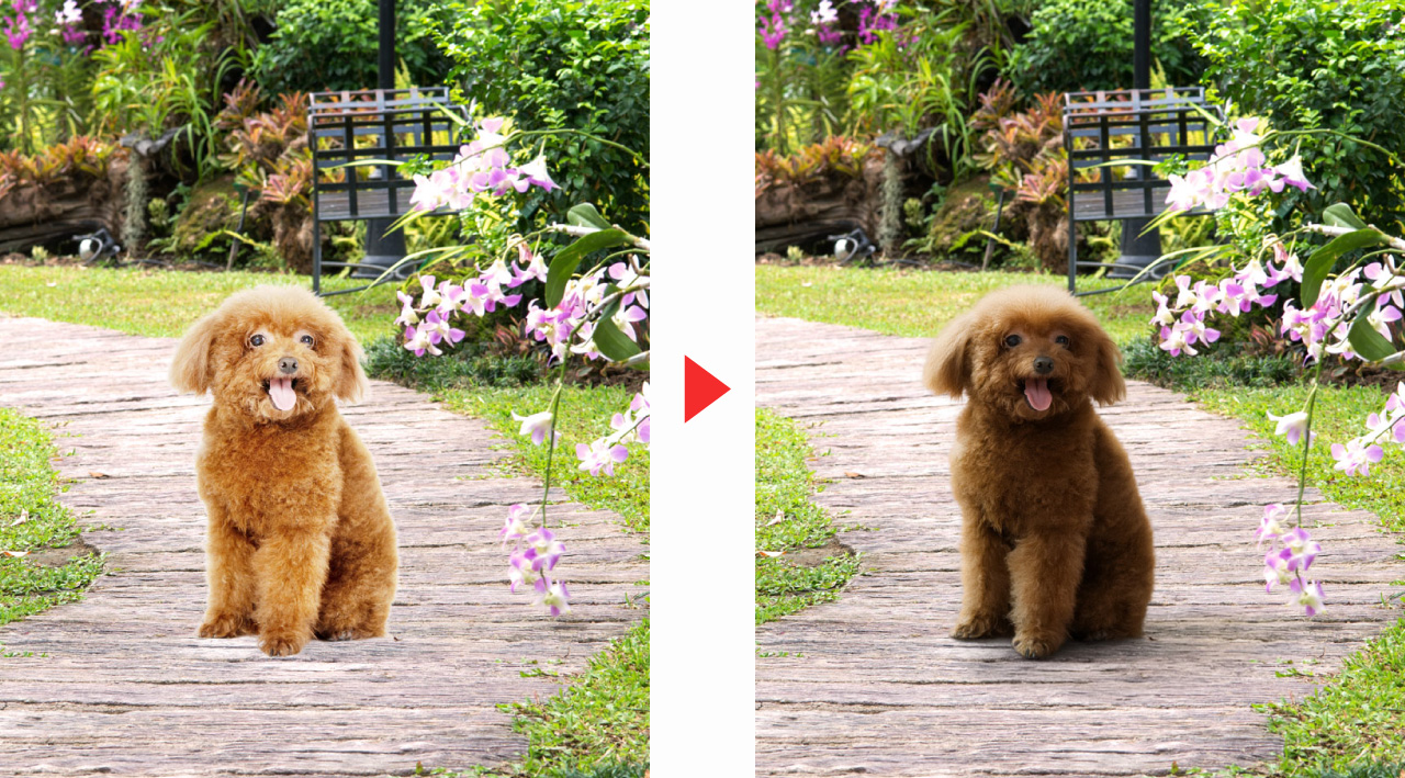 調和による合成(犬を自然になじませる)