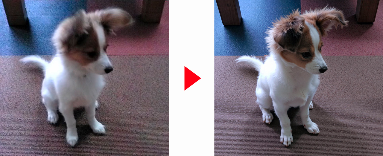 ノイズやボケの軽減