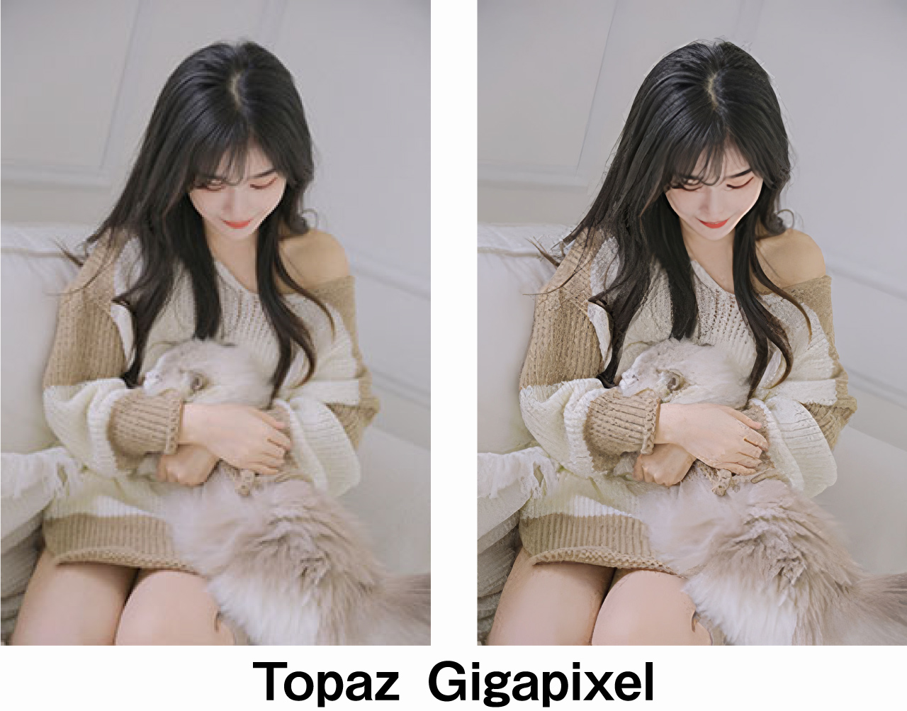 Topaz Gigapixel AI