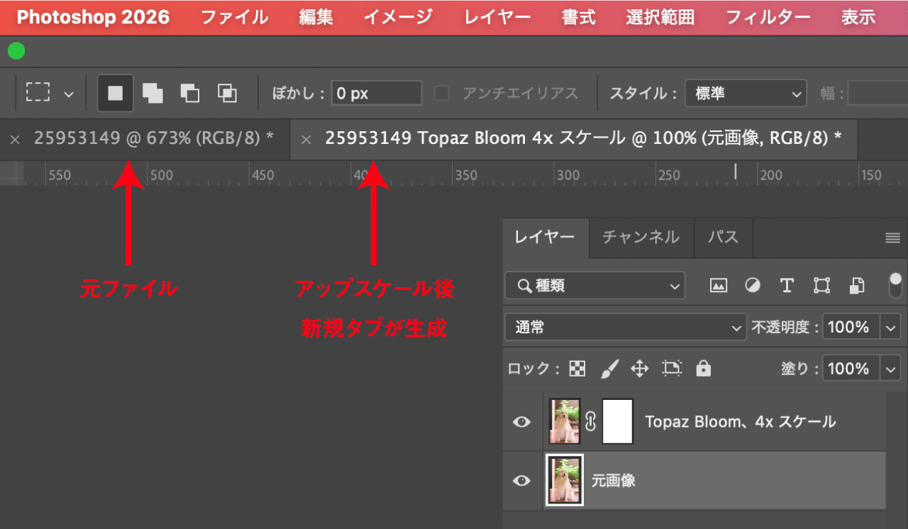 新規タブに生成