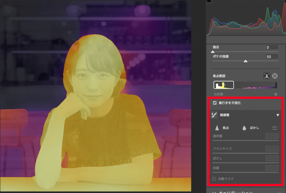 ぼかしが不自然な部分を手作業で修正