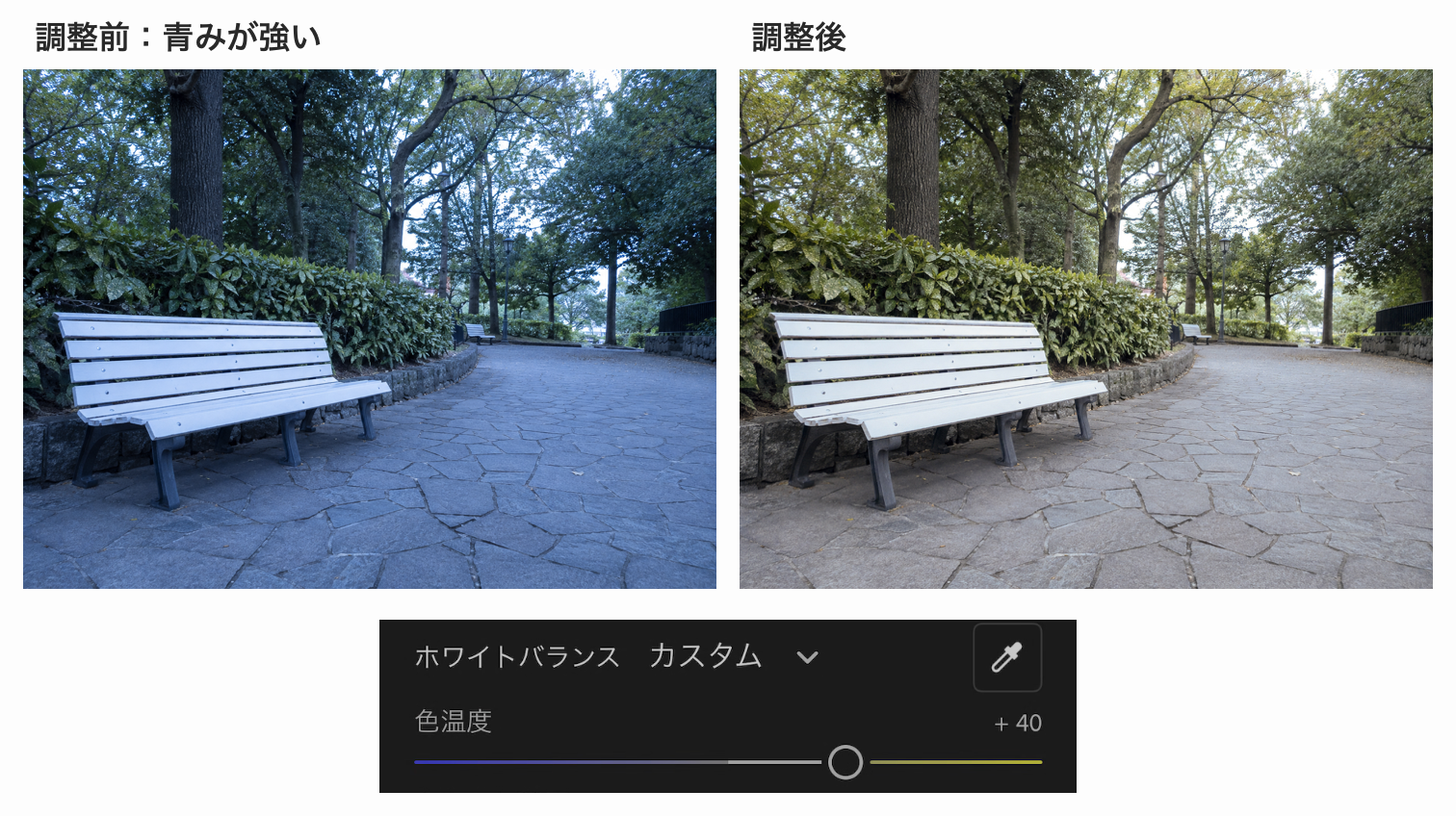 ホワイトバランスで公園の写真の青みを抑えた比較